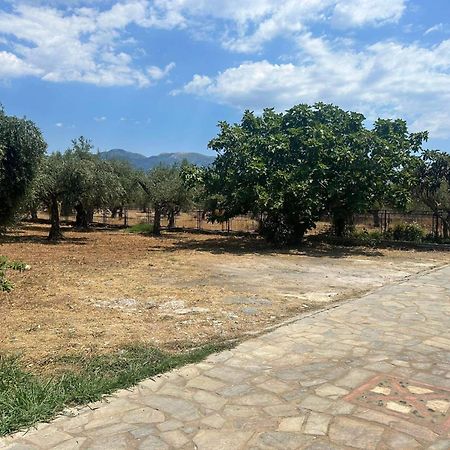 Το Πετρινο / The Petrino Apartments Stoúpa Exterior foto
